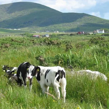 Coill An Rois