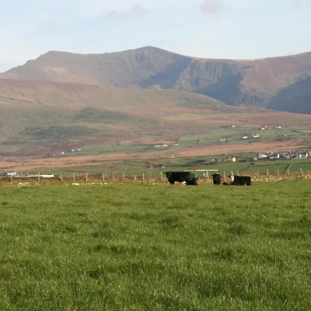 Coill An Rois 3* Ballydavid