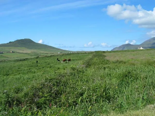 Coill An Rois