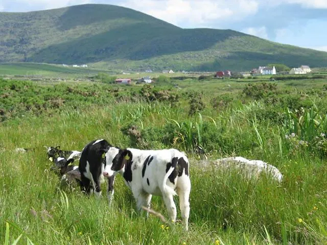 Coill An Rois