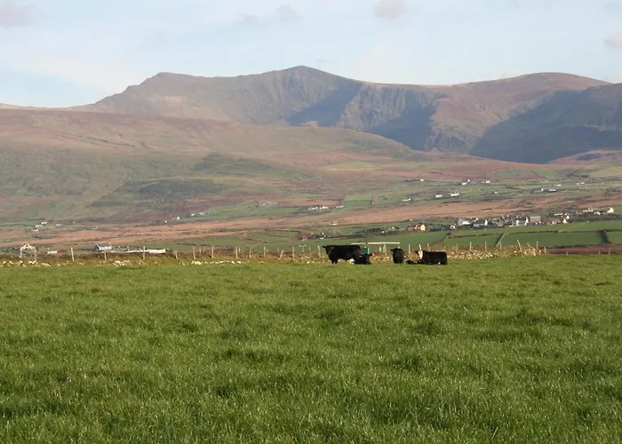 Coill An Rois 3* Ballydavid