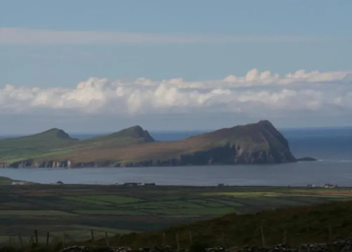 Coill An Rois Bed & Breakfast Ballydavid